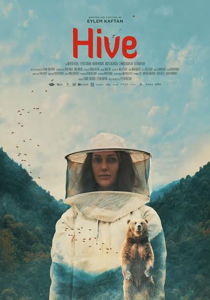 Hive / Kovan – 2019