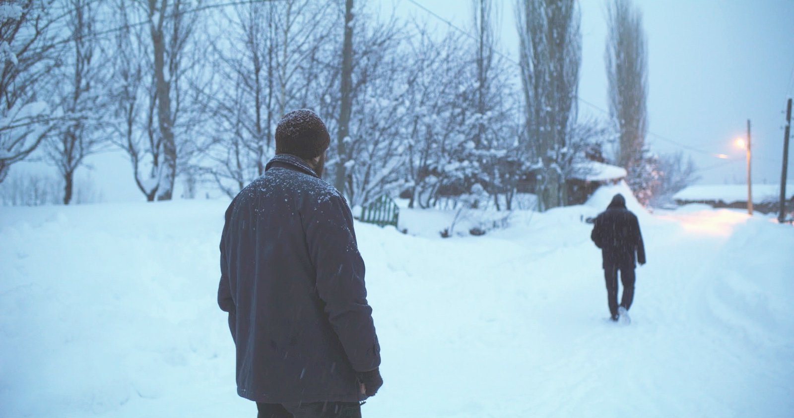 Snow And The Bear / Kar Ve Ayı – 2022 | Vancouver Turkish Film Festival ...